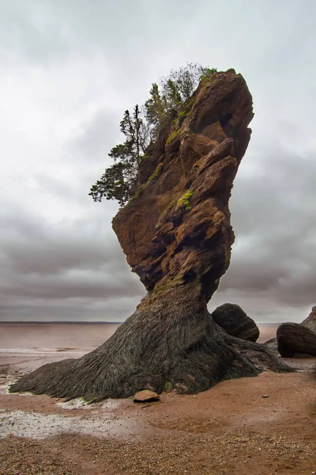 Bay Of Fundy - All You Need to Know BEFORE You Go (with Photos)